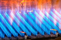 Eton gas fired boilers